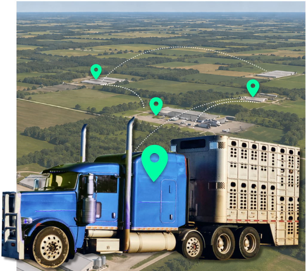 Livestock trailers moving between farm production sites with transport biosecurity monitoring, compliance verification, and vehicle movement visibility across a livestock operation.